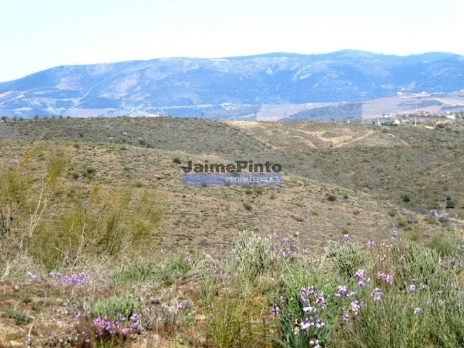 Terreno Agricola ou Rústico para Venda em Touça Foto 2