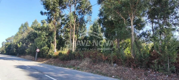 Terreno P/ Prédio para Venda em Esmoriz