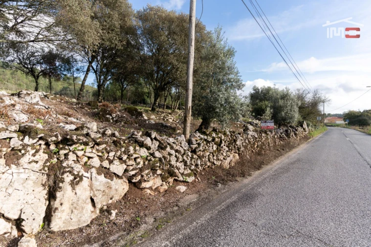 Terreno para Venda em São Mamede Foto 6