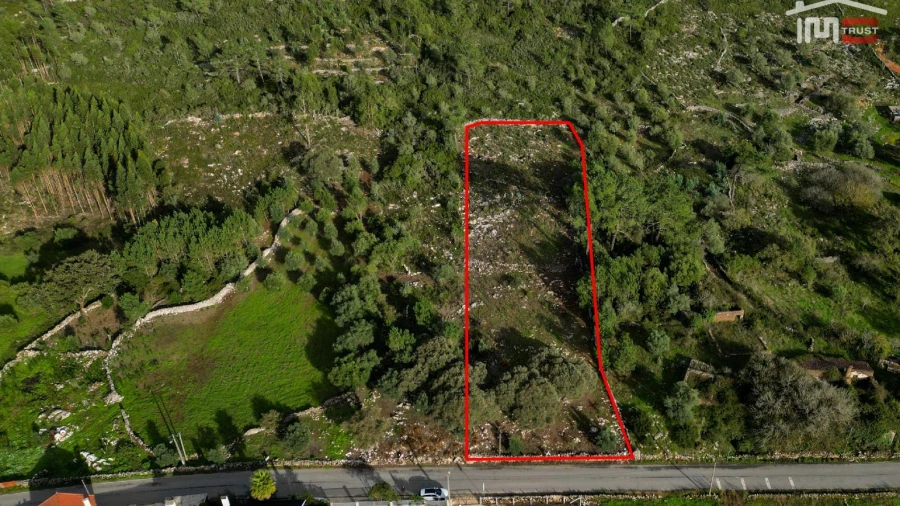 Terreno para Venda em São Mamede