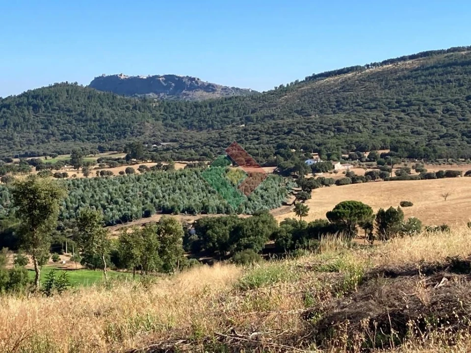 Terreno Agricola ou Rústico para Venda em São Salvador da Aramenha Foto 4