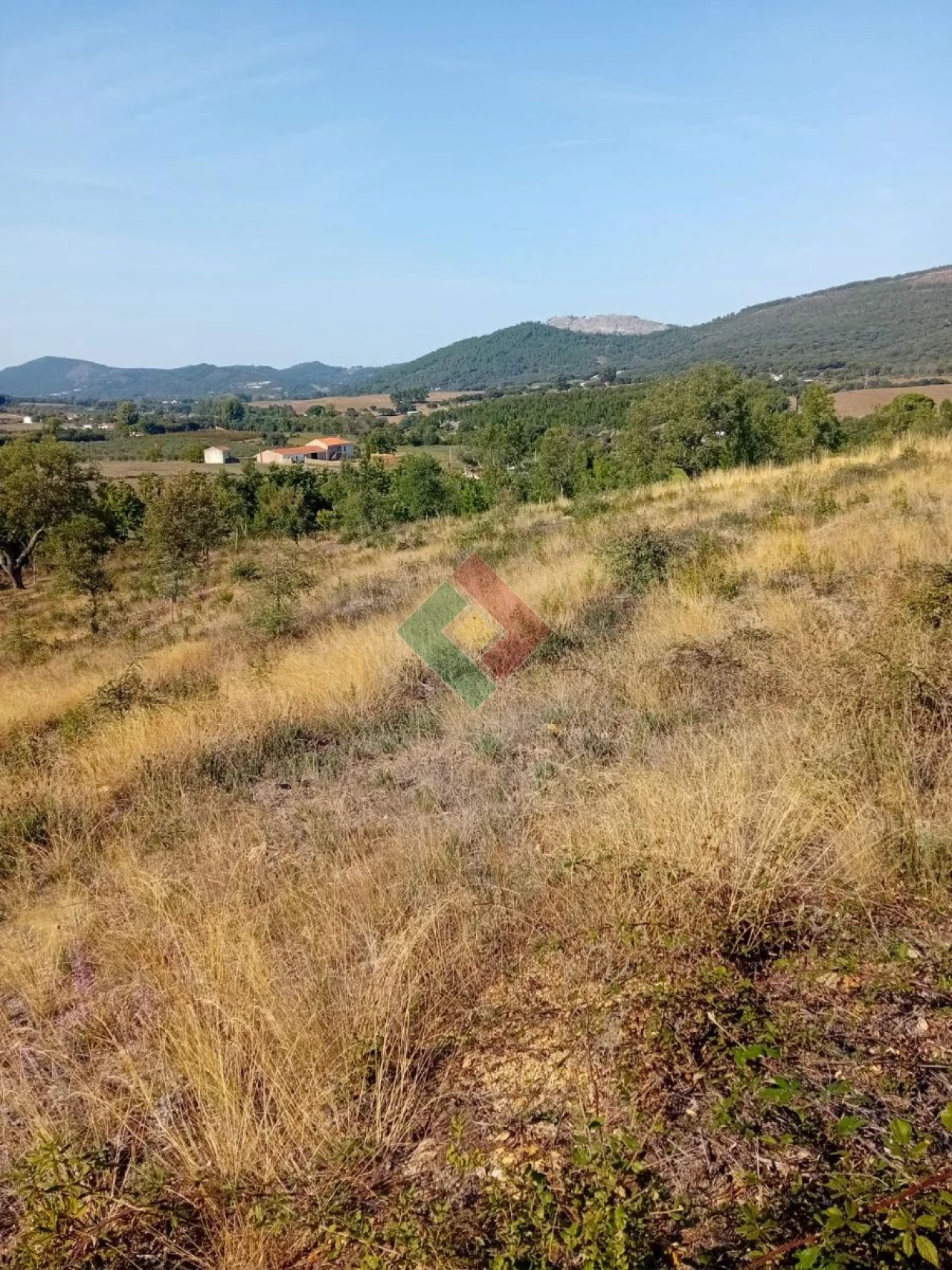 Terreno Agricola ou Rústico para Venda em São Salvador da Aramenha Foto 22