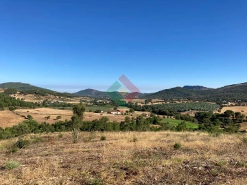 Terreno Agricola ou Rústico para Venda em São Salvador da Aramenha