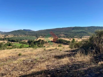 Terreno Agricola ou Rústico para Venda em São Salvador da Aramenha