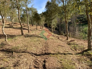 Terreno Agricola ou Rústico para Venda em São Salvador da Aramenha
