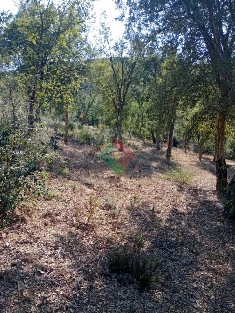 Terreno Agricola ou Rústico para Venda em São Salvador da Aramenha