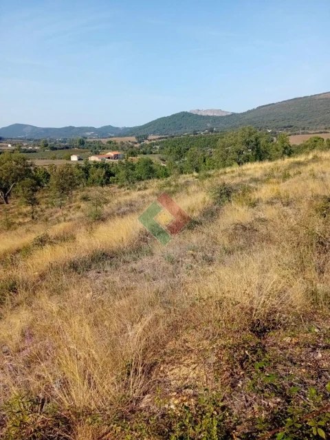 Terreno Agricola ou Rústico para Venda em São Salvador da Aramenha