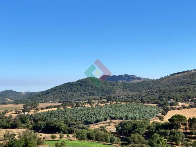 Terreno Agricola ou Rústico para Venda em São Salvador da Aramenha Foto 2