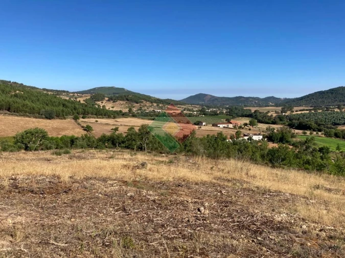 Terreno Agricola ou Rústico para Venda em São Salvador da Aramenha Foto 9