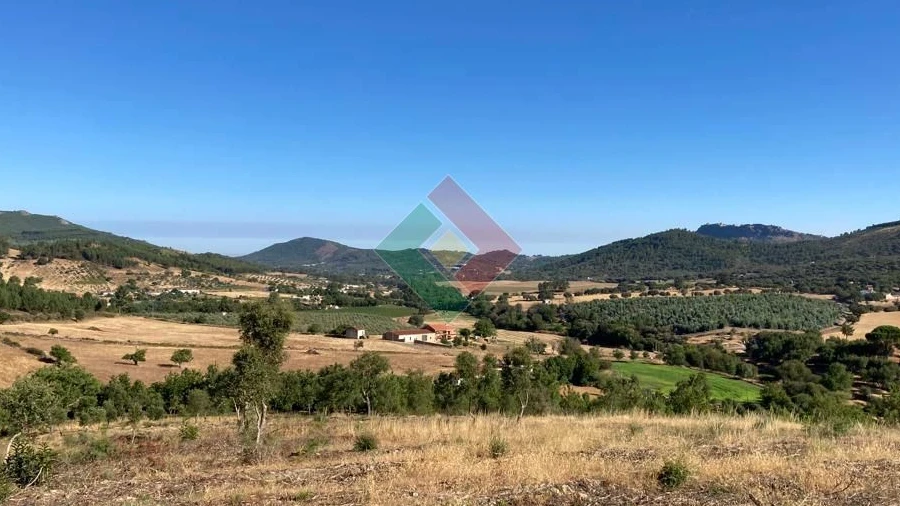 Terreno Agricola ou Rústico para Venda em São Salvador da Aramenha