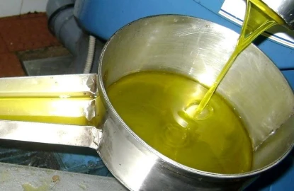 Negócio para Venda em Castelo Branco