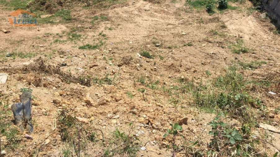 Terreno Misto para Venda em Baguim do Monte (Rio Tinto) Foto 5