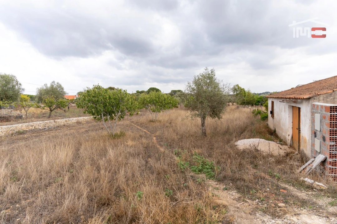 Terreno Misto para Venda em Assentiz Foto 9