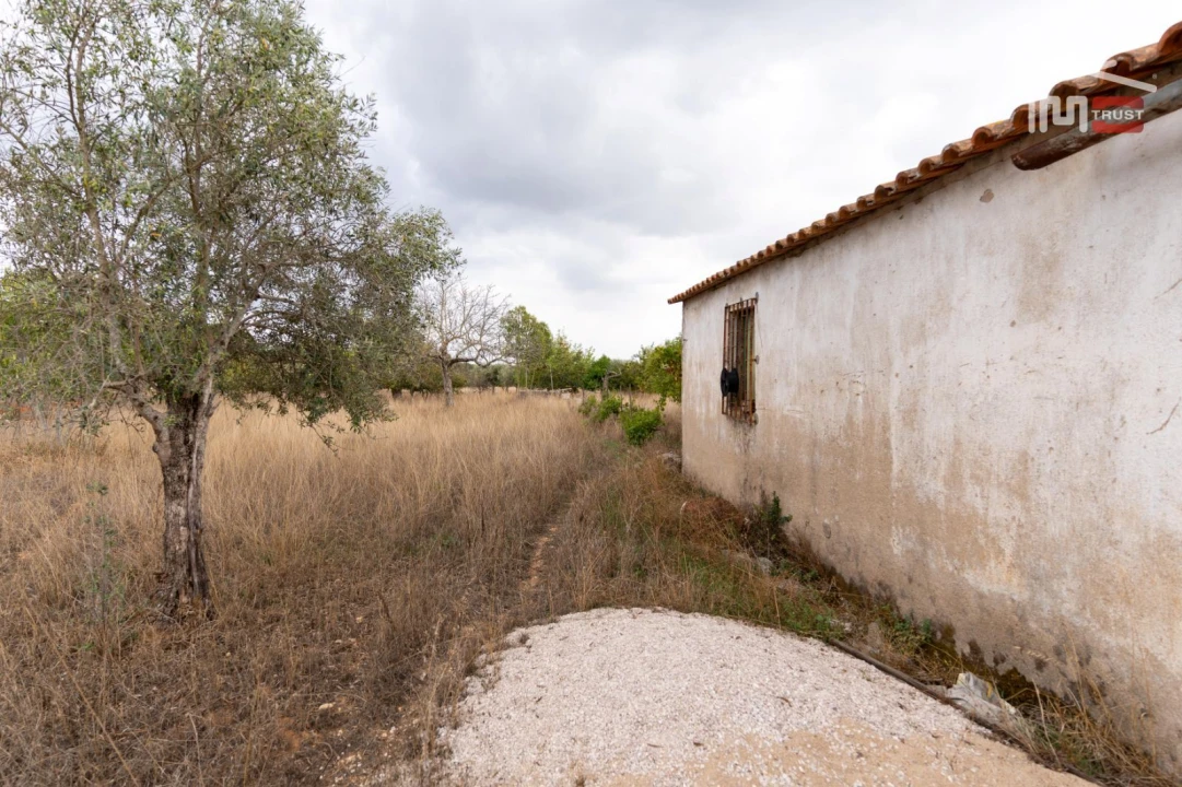 Terreno Misto para Venda em Assentiz Foto 12