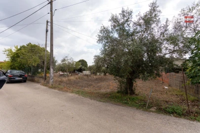 Terreno Misto para Venda em Assentiz