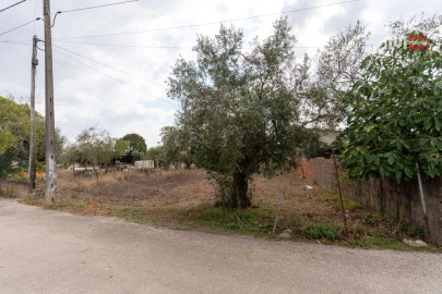 Terreno Misto para Venda em Assentiz