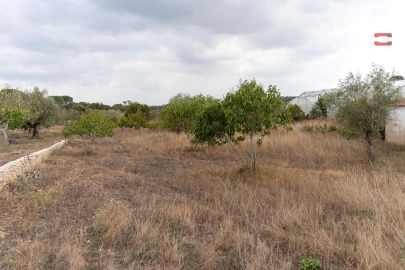 Terreno Misto para Venda em Assentiz