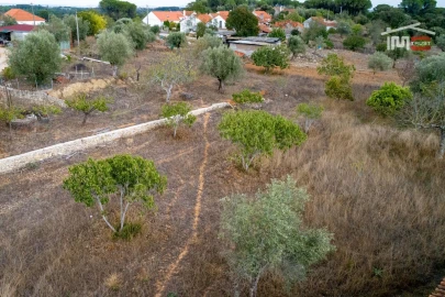 Terreno Misto para Venda em Assentiz