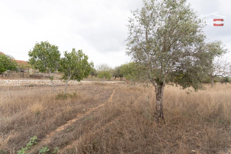 Terreno Misto para Venda em Assentiz Foto 13