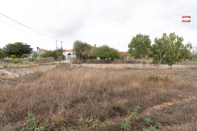 Terreno Misto para Venda em Assentiz Foto 14