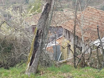 Quinta para Venda em Tendais