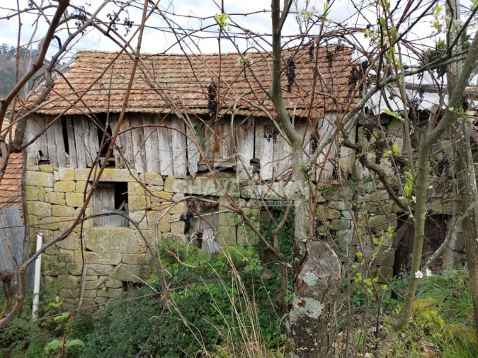 Quinta para Venda em Tendais Foto 11