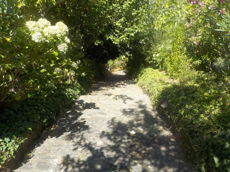 Moradia T3 para Venda em São Salvador da Aramenha Foto 9