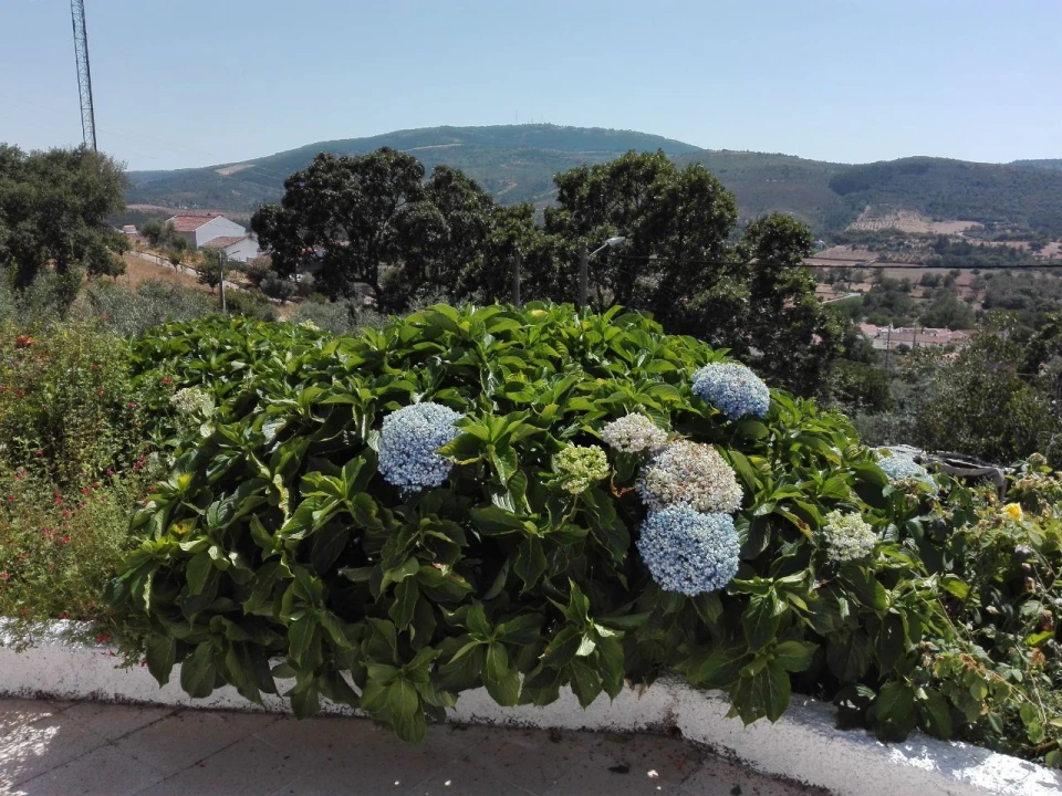 Moradia T3 para Venda em São Salvador da Aramenha Foto 16