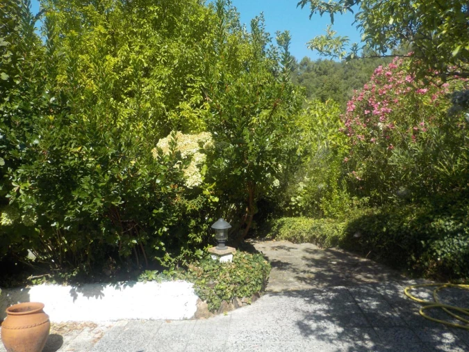 Moradia T3 para Venda em São Salvador da Aramenha Foto 17