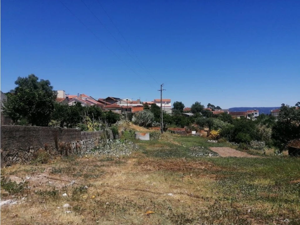 Terreno Agricola ou Rústico para Venda em Casal Comba Foto 1