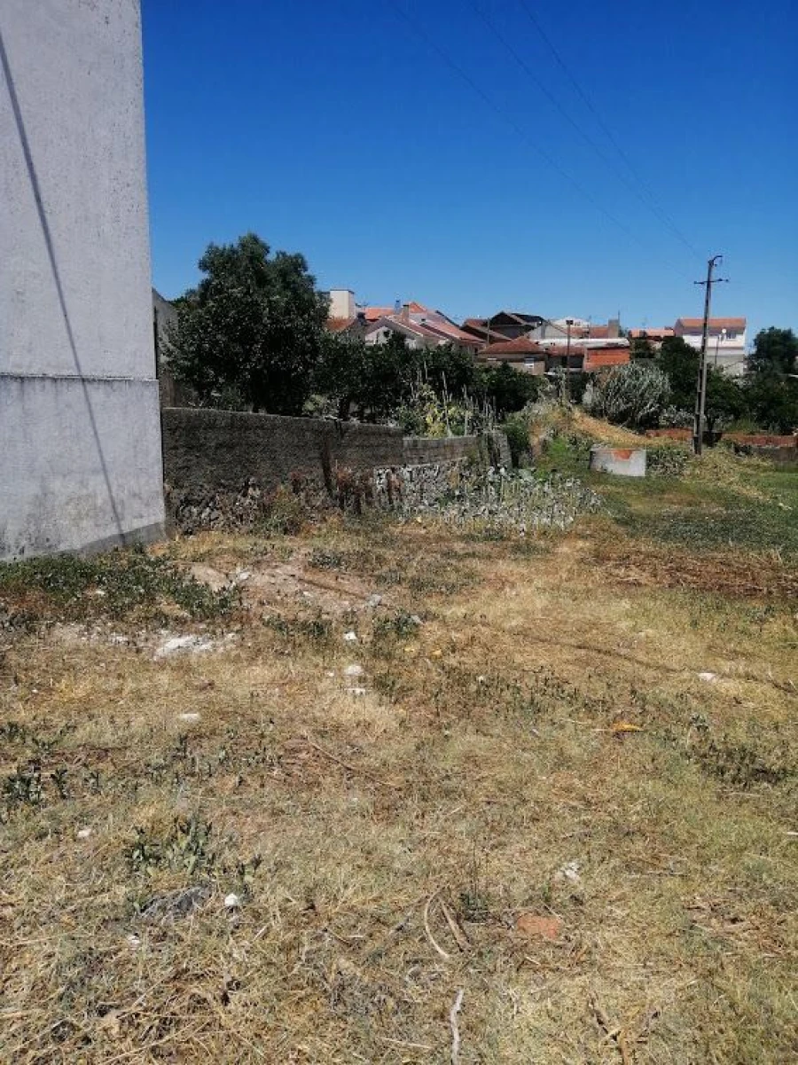 Terreno Agricola ou Rústico para Venda em Casal Comba Foto 4