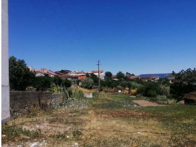 Terreno Agricola ou Rústico para Venda em Casal Comba Foto 2
