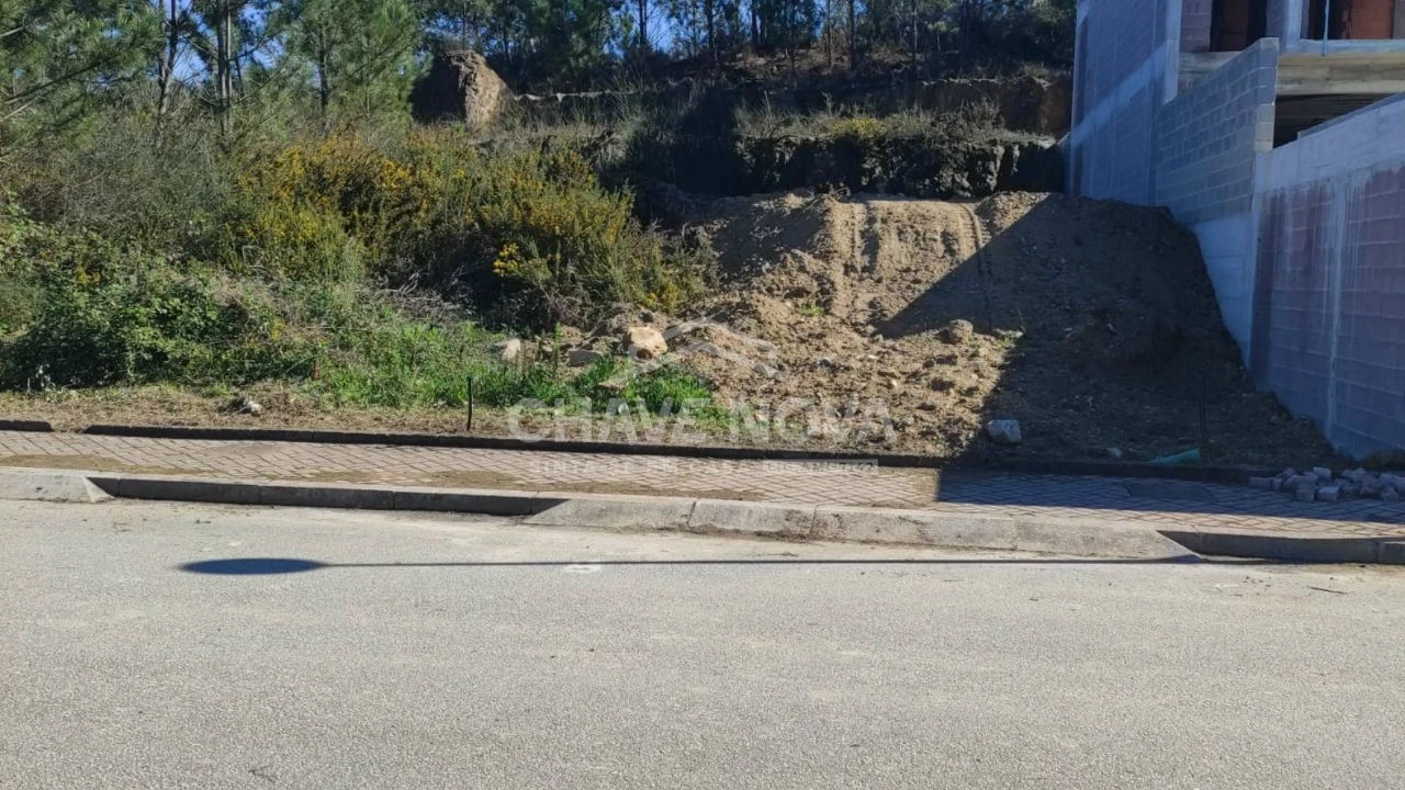 Terreno para Venda em Pinheiro da Bemposta, Travanca e Palmaz Foto 4