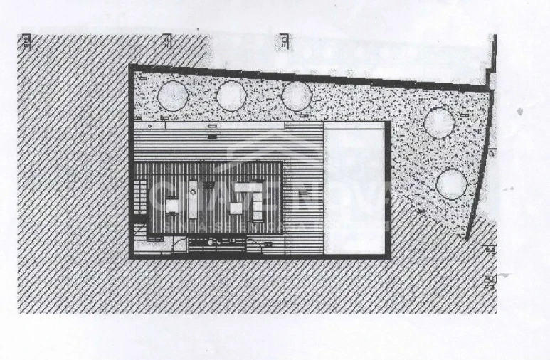 Terreno para Venda em Pinheiro da Bemposta, Travanca e Palmaz Foto 7