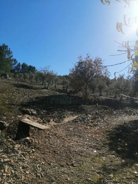 Terreno Agricola ou Rústico para Venda em São Salvador da Aramenha