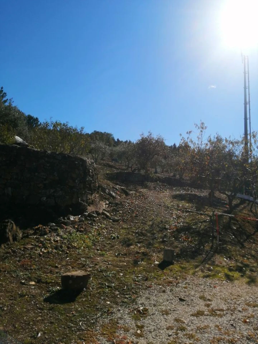 Terreno Agricola ou Rústico para Venda em São Salvador da Aramenha Foto 4