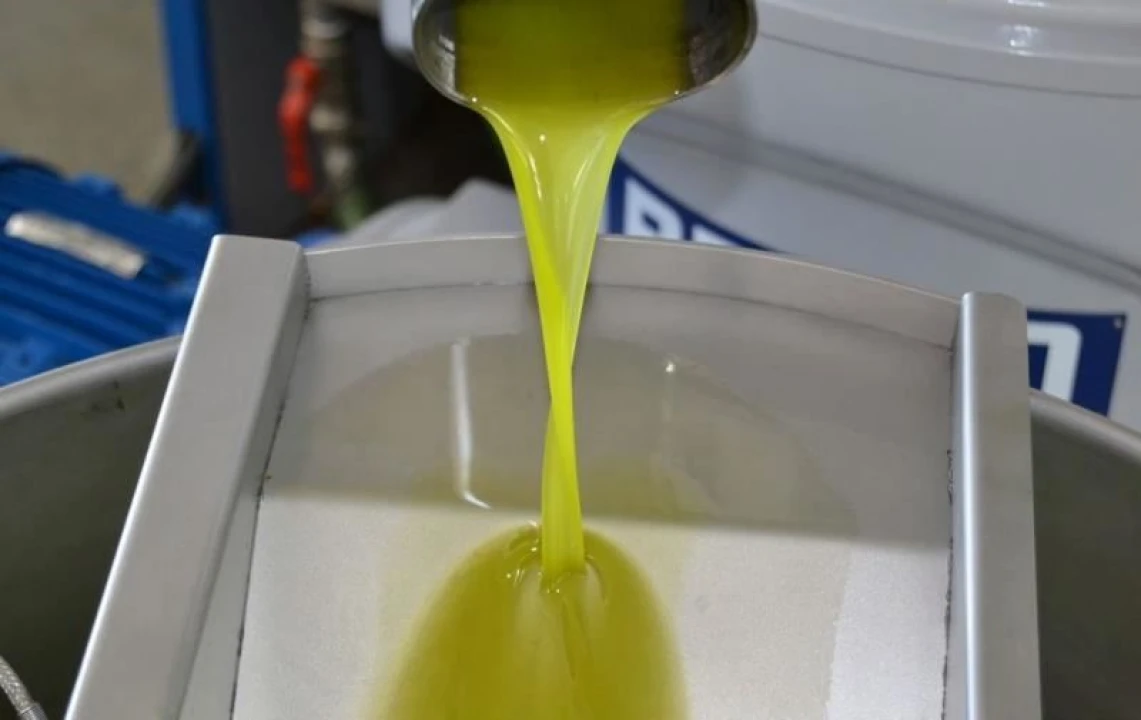 Armazém para Venda em Pinhel Foto 1