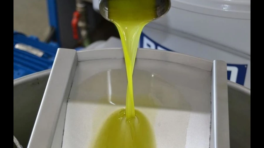 Armazém para Venda em Pinhel