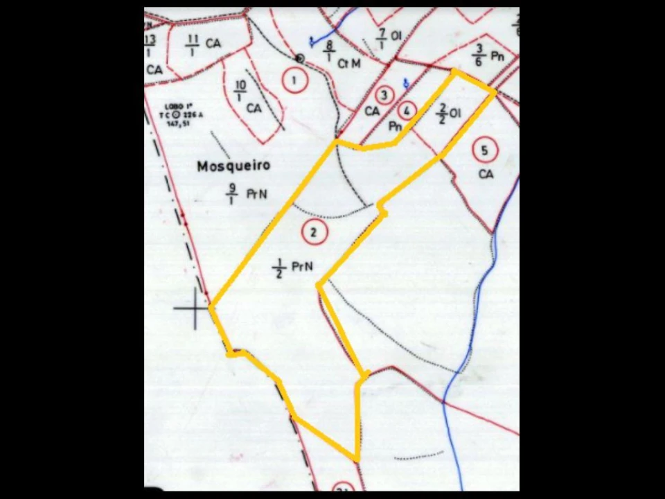 Terreno Agricola ou Rústico para Venda em São Salvador da Aramenha Foto 8