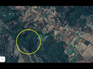 Terreno Agricola ou Rústico para Venda em São Salvador da Aramenha