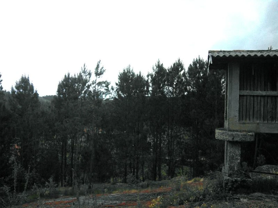 Terreno Agricola ou Rústico para Venda em Anissó e Soutelo Foto 5