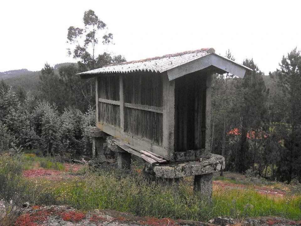 Terreno Agricola ou Rústico para Venda em Anissó e Soutelo Foto 9