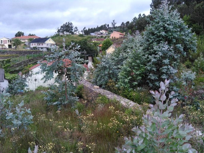 Terreno Agricola ou Rústico para Venda em Anissó e Soutelo Foto 8