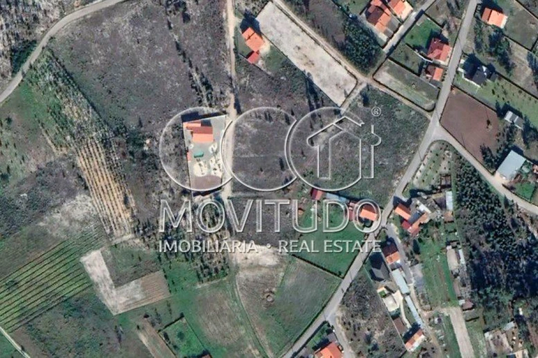 Terreno Misto para Venda em Monte Real e Carvide Foto 7