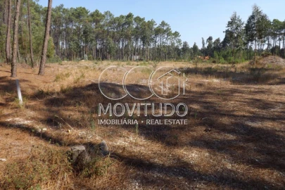 Terreno Misto para Venda em Monte Real e Carvide