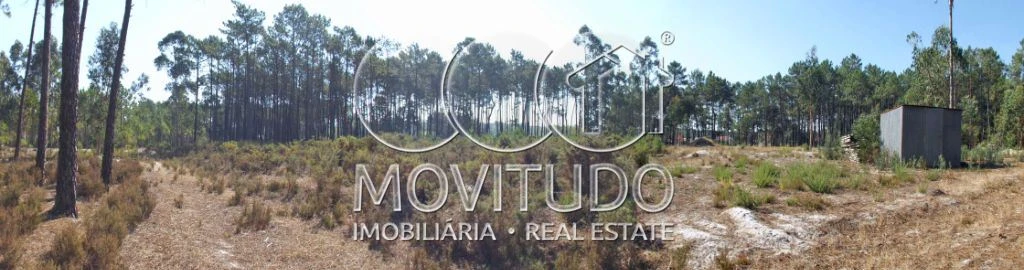 Terreno Misto para Venda em Monte Real e Carvide