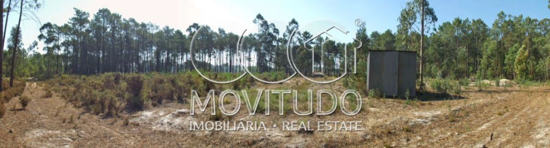 Terreno Misto para Venda em Monte Real e Carvide Foto 13