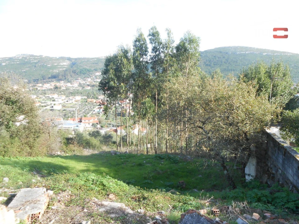 Terreno para Venda em Alqueidão da Serra Foto 11