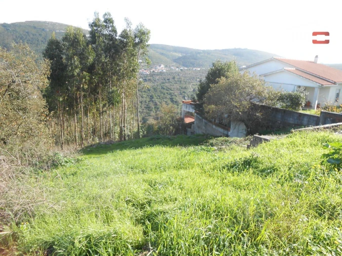 Terreno para Venda em Alqueidão da Serra Foto 6