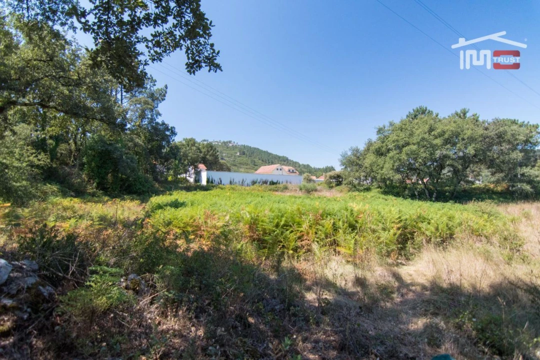 Terreno Agricola ou Rústico para Venda em Alqueidão da Serra Foto 1